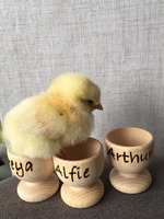 Day old chicks for sale Leicester